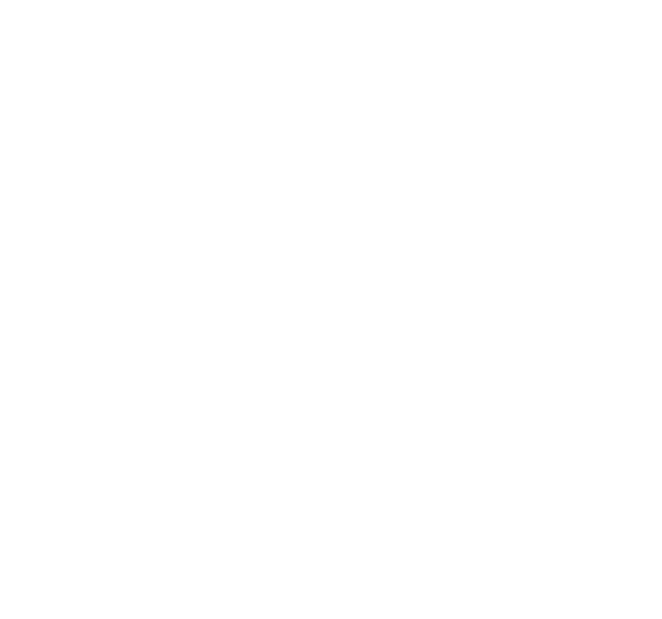 VOID INK